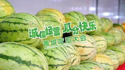 吃瓜青城,探寻美食背后的故事与传奇