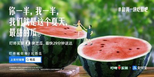 吃瓜扫支付宝,轻松一扫，尽享美食盛宴