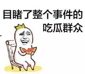 吃瓜群众上学,吃瓜群众视角下的校园生活