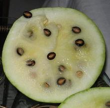 卖瓜是吃皮还是吃籽,揭秘卖瓜时是吃皮还是吃籽的秘密