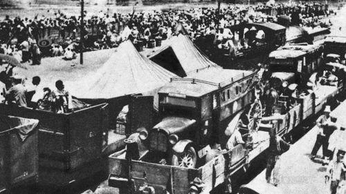 委员长吃瓜,揭秘政坛背后的轻松一幕