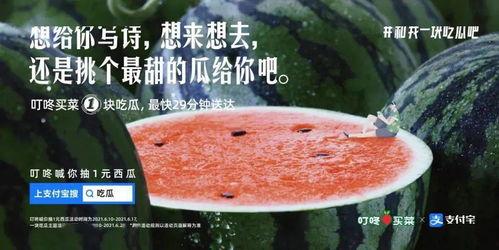 吃瓜多的文案,揭秘吃瓜群众的狂欢与思考