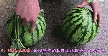 魔瓜怎样吃最好吃,解锁最佳食用秘诀