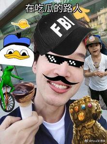 热情吃瓜路人,探寻人生百态的趣味之旅