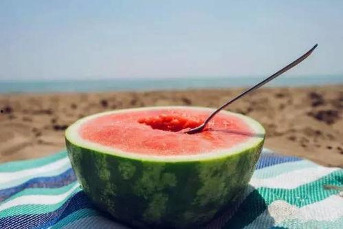 小勺子吃瓜,揭秘瓜界那些事儿